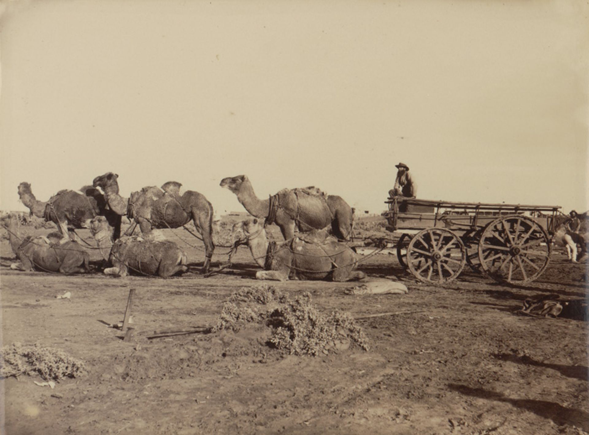 Australia / New Zealand: Indigenous people, nature and landscapes of Australia an... - Bild 4 aus 8