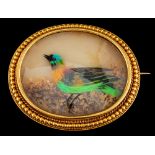 A late Victorian bird feather and gold brooch,: circa 1885,