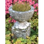 A stone pedestal garden urn:, the circular bowl with a fluted border, on circular socle,