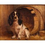 Samuel Fulton [1855-1941]- Spaniel,:- signed bottom right oil on canvas, 40 x 50cm.