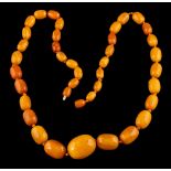 An amber bead necklace,: the graduated 30mm to 10mm amber beads on a knotted thread, 74.