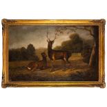 English School 19th Century- Stag and doe in a clearing,:- oil on canvas, 69 x 110cm.