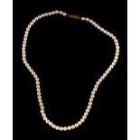 A cultured pearl necklace,: the uniform 4mm cultured pearls, with a 9 carat gold clasp, stamped 375,