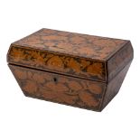 A Regency pen work chinoiserie tea caddy: of rectangular tapering outline,