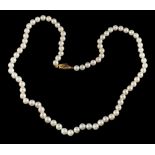 A cultured pearl necklace,