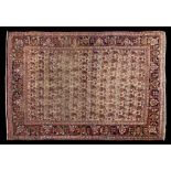 A Feraghan rug:, the beige field with repeated boteh medallions,