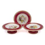 A late 19th century English porcelain botanical part dessert service: each piece painted with a