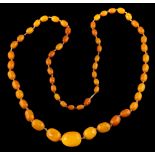 An amber bead necklace,: the graduated 27mm to 10mm amber beads on a knotted thread, 94cm long,