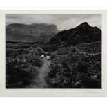 * Fay Godwin [1931-2005]- Sheep grazing an upland path,:- gelatin print,