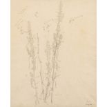 * Eliot Hodgkin [1905-1987]- Study of plant stems and trusses,:- signed bottom right,