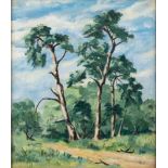 English School 20th Century- Study of trees,:- oil on canvas, laid on board 40 x 34.