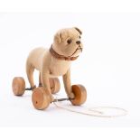 A Steiff pull along bulldog: boot button eyes, stitched nose and mouth with teeth,