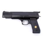 A Webley Nemesis .22 calibre air pistol: two piece black plastic grips.