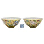 A fine Chinese yellow-ground famille rose bowl: the exterior enamelled with numerous blooms