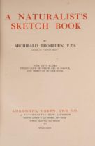 THORBURN, Archibald - A Naturalist's Sketch Book : 60 mounted plates, org.