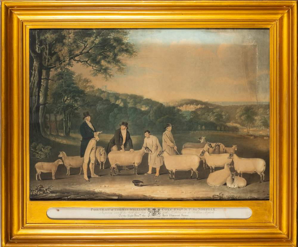 SOUTH-DOWN SHEEP : large hand coloured aquatint titled, "Portrait of Thomas William Coke Esqr ..