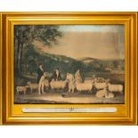 SOUTH-DOWN SHEEP : large hand coloured aquatint titled, "Portrait of Thomas William Coke Esqr ..