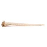 A carved bone fid,