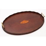 An Edwardian mahogany and marquetry tray: of oval outline with inlaid conch shell medallion,