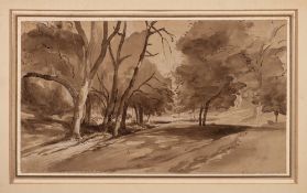 The Reverend John Eagles [1783-1855]- Wooded landscape; a study,:- pen,