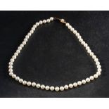 A single row necklace of cultured pearls with a 9ct gold clasp,