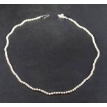 A single row necklace of Mikimoto cultured pearls to a silver clasp,