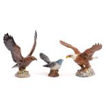Three Beswick birds: comprising a Golden Eagle under gloss,