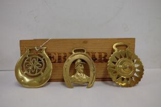 A collection of various early 20th century horse brasses:, including a foal anchor,
