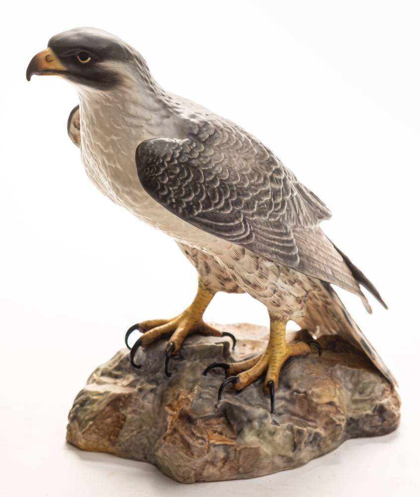 A Royal Crown Derby model of a Peregrine falcon: modelled standing on a naturalistic base,