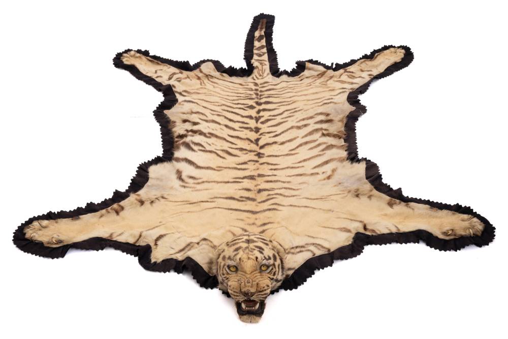 A pair of taxidermy Tiger skin (Panthera tigris) rugs by Van Ingen & Van Ingen, - Image 2 of 11