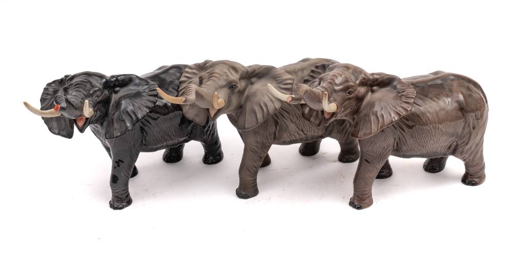 Three Beswick elephants: trunk stretching large, two under gloss, one under matt.