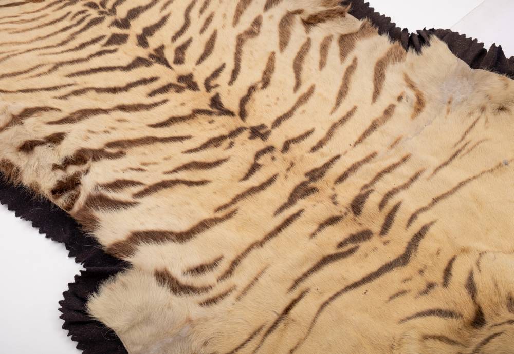 A pair of taxidermy Tiger skin (Panthera tigris) rugs by Van Ingen & Van Ingen, - Image 10 of 11