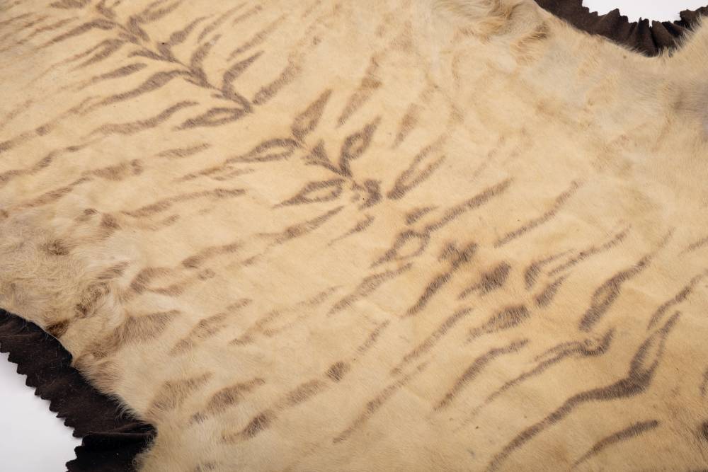 A pair of taxidermy Tiger skin (Panthera tigris) rugs by Van Ingen & Van Ingen, - Image 5 of 11