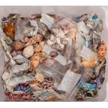 A large collection of various sea shells in two glass jars and loose,