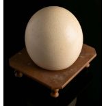 An undecorated Ostrich egg on wooden stand: