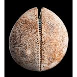 *Alan Wallwork [1931-2019] a stoneware 'split seed pod': of flattened oviform with notched aperture