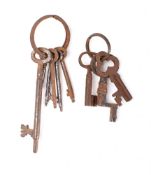 Nine various keys including a cranked key with plain bow: (9)