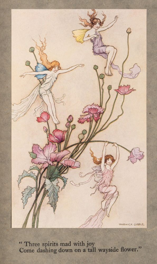 GOBLE, Warwick : (illustrator) - The Book of Fairy Poetry. Edited by Dora Owen. - Image 3 of 4