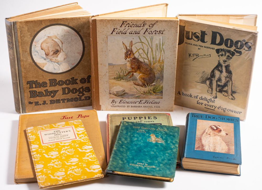DETMOLD, E. J : (Illustrator) The Book of Baby Dogs. 19 colour plates.