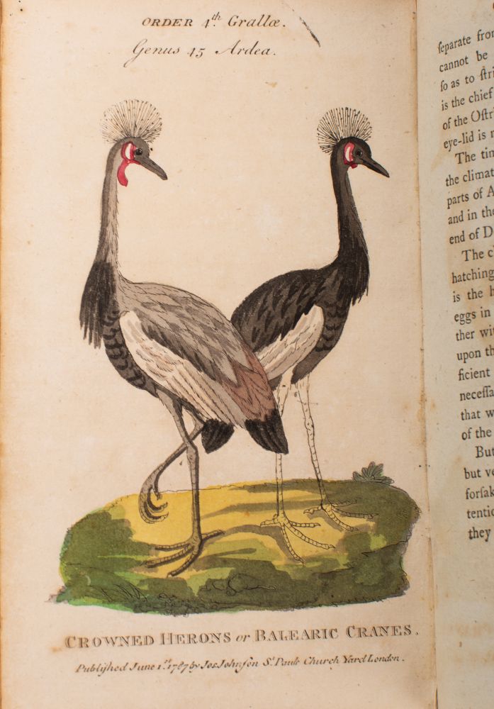 TRIMMER, (Sarah) - Plates to the Natural History of Birds .... - Image 2 of 5