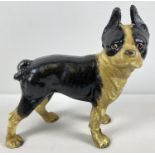 A painted cast iron figurine of a French Bulldog, in black and cream. Approx. 25cm x 23cm.