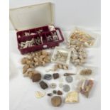 A collection of vintage shells and fossils. To include sharks teeth, starfish and part of a
