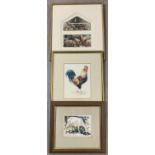 3 framed & glazed pictures of farmyard animals. Comprising: a signed watercolour of a Maltese Goat