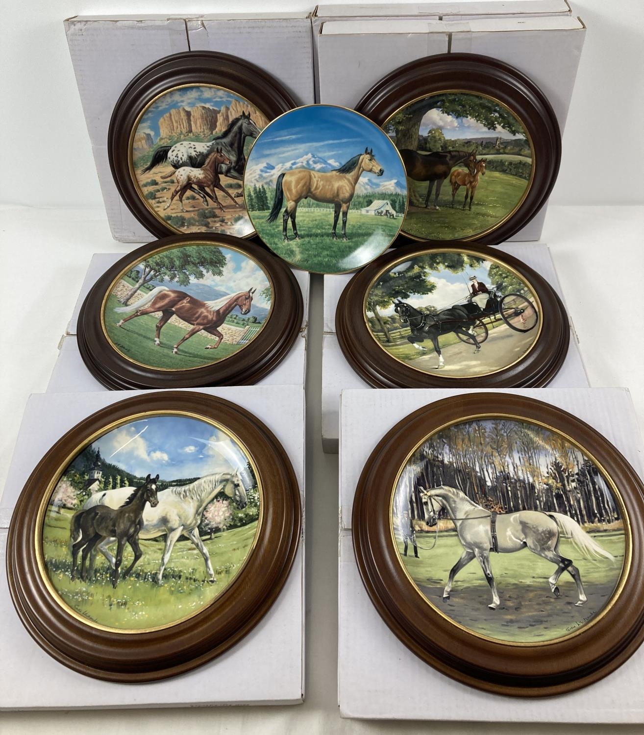 7 boxed limited edition collectors plates featuring horses. 6 by Spode - include wooden mounts. From