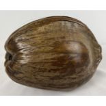 A large vintage coconut pod/husk with coconut inside. Approx. 17 x 25cm.