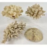 4 pieces of vintage natural white coral in varying sizes to include mushroom coral. Largest pieces