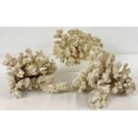 3 pieces of vintage white branch coral. Largest approx. 10 x 22cm.