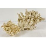 2 vintage pieces of white branch coral. Largest approx. 18 x 26cm.