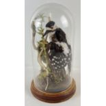 A vintage taxidermy Greater Spotted Woodpecker mounted on part of a tree with foliage. Complete with
