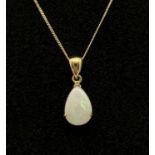 A teardrop shaped opal pendant on a 9ct gold fine 16" curb chain with spring clasp. Chain clasp